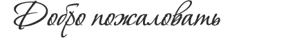 Добро пожаловать